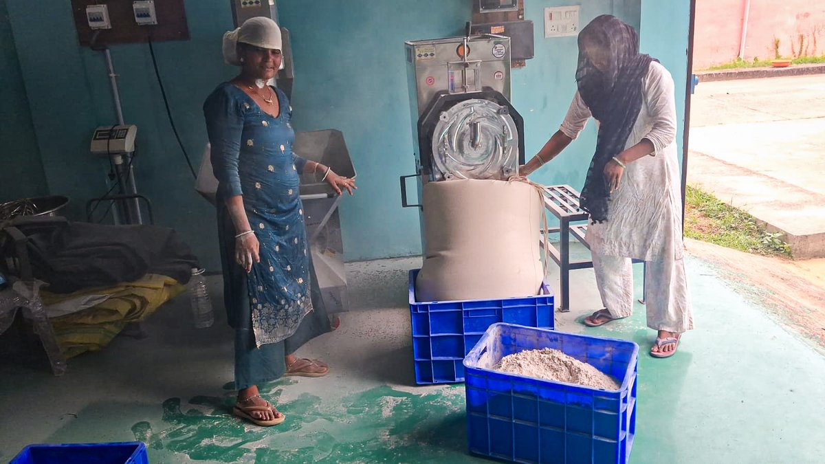 ngopranofficial's tweet photo. FPO members at Krishi Vigyan Kendra, Manpur have started producing Madua (Ragi) flour and biscuits through their processing unit, promoting millet-based value addition and local livelihoods.
#Millets #Ragi #FPO #ValueAddition #PRAN https://t.co/2HY1EOJ2yI