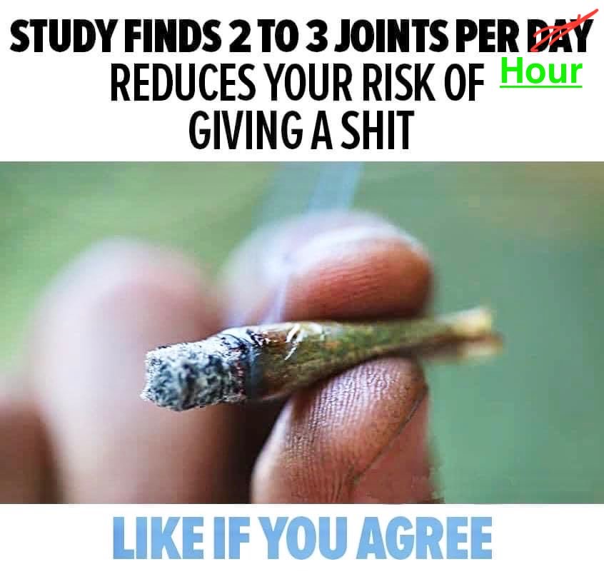 Whowaa's tweet photo. A new study finds smoking 2-3 joints a day reduces giving a Shit 💯💚 https://t.co/SDx4Pi9BkR