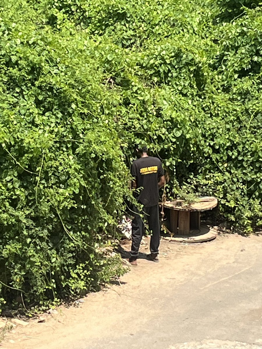 jude0887's tweet photo. @chennaicorp @CMOTamilnadu @rhevanth95 People are littering this place just because the bush is covering . Kindly take some action are erect a pole not to litter here. Zone 11 ward 154 behind assisi school https://t.co/ViL4ZKSRQE
