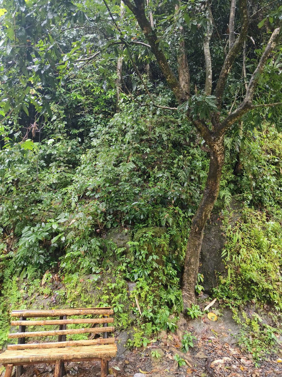 allikkulam's tweet photo. Photo challenge : Seat 

A bench, a chair, even a cozy tree trunk. https://t.co/6jMDKmiuMP