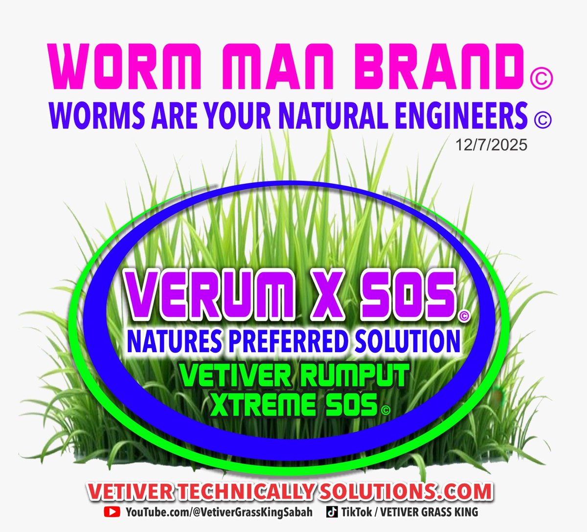 Vetiver_King's tweet photo. All international enquiries welcome https://t.co/6fCIv6NXey
