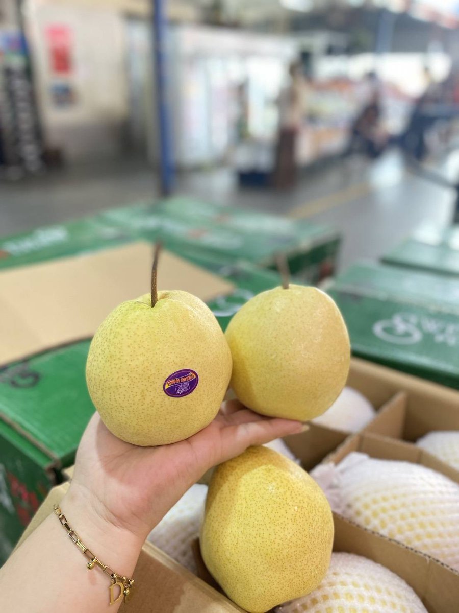 Pinkky_chey's tweet photo. สาลี่น้ำผึ้งจัมโบ้ #27 Sweet กล่องเขียว = 650.-
ฤดูกาลใหม่มาแล้วค่า ✨️ https://t.co/HZtONIrrti