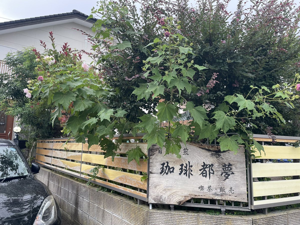 megane_beam's tweet photo. 珈琲都夢さんにてナリーニョ・ゲイシャとチーズスフレをいただいてます。☕️🍰 https://t.co/aTPPquTXiB