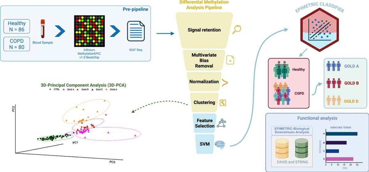genyo_pts's tweet photo. "EPIMETRIC: A cfDNA Methylation-Based Algorithm for COPD Diagnosis and Stratification"

More information: https://t.co/RpJxBjBtsX 

@CONICETDialoga @TorrecardenasHU @ibsGRANADA @hospital_hvn https://t.co/IVvfzDtfFJ