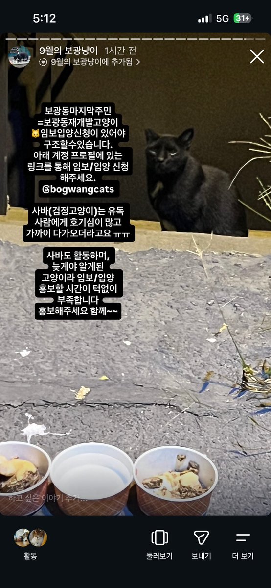 sosweet_hosu's tweet photo. 보광동재개발고양이 소식을 알립니다 
많이알려주세요 9월까지만 구조가 가능할것으로 예상됩니다 모두 살리고 싶습니다

임보/입양신청으로 그리고 구조시 검진/치료비 전액쓰이는, 후원으로 함께 나눠요. 

후원계좌 : 우리은행 1002-762-420255 (김유진) https://t.co/vJWJwUk0HD
