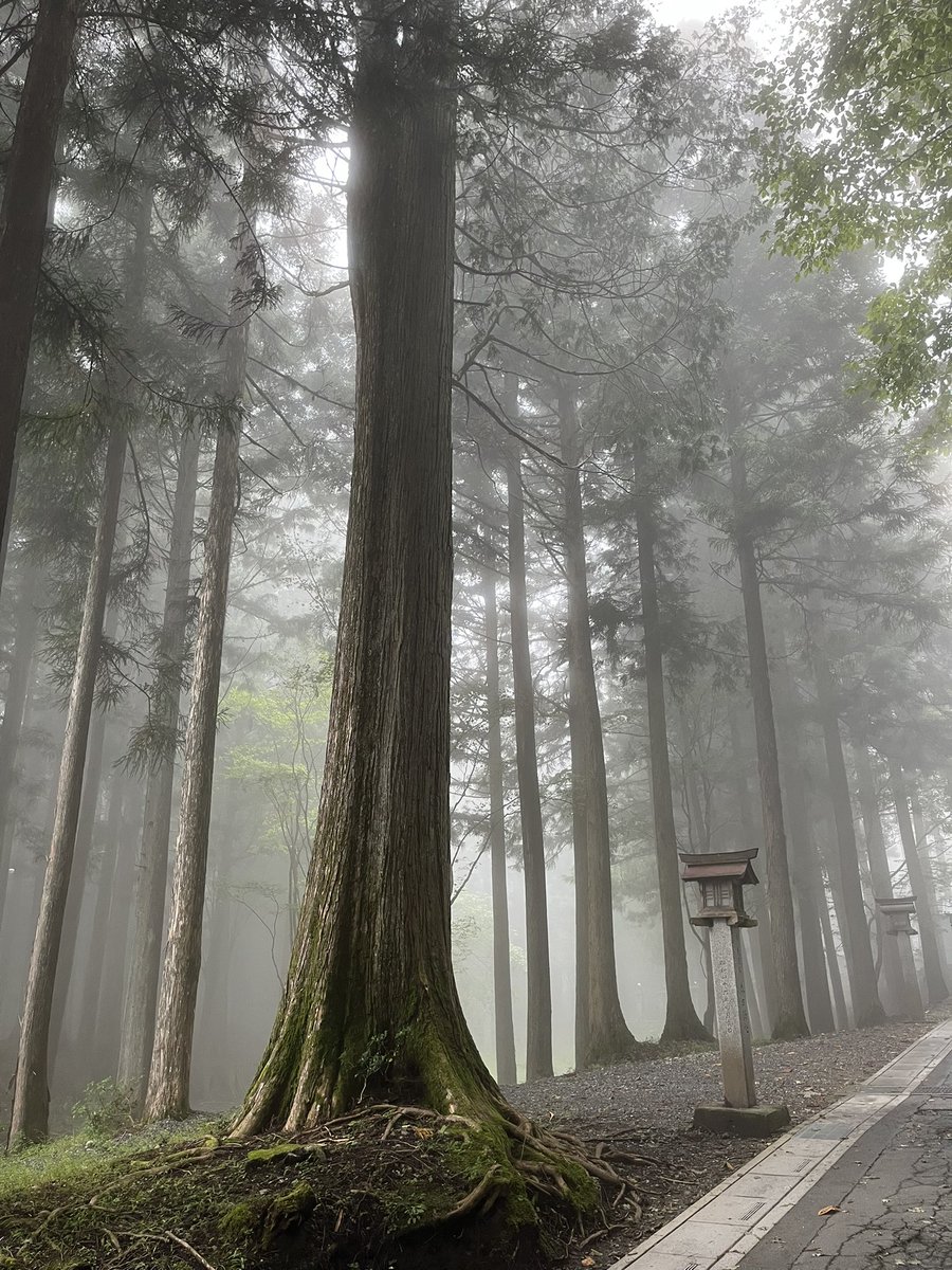 kwbrakr's tweet photo. 今日は家族で三峰神社に行ってきました！

すごく清々しい気持ちになりました✨
霧で幻想的だったのもよかったです！

早朝すぎて御朱印が受け取れなかったので
また改めて行きたいです☺️ https://t.co/hWojK53Frh