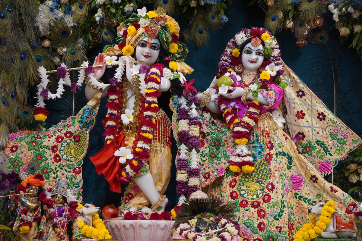 Iskcon_vvn's tweet photo. —❀꧁𝐻𝑎𝑟𝑒 𝐾𝑟𝑖𝑠ℎ𝑛𝑎꧂❀—
🌿🛕Shringar Darshan🛕🌿
—❀꧁23-09-2026꧂❀—
🌹 Sri Sri Radha Giridhariji🌹 
🌷ISKCON VVN Anand🌷
—❀꧁𝐻𝑎𝑟𝑒 𝐾𝑟𝑖𝑠ℎ𝑛𝑎꧂❀— https://t.co/k81iZlfZCT