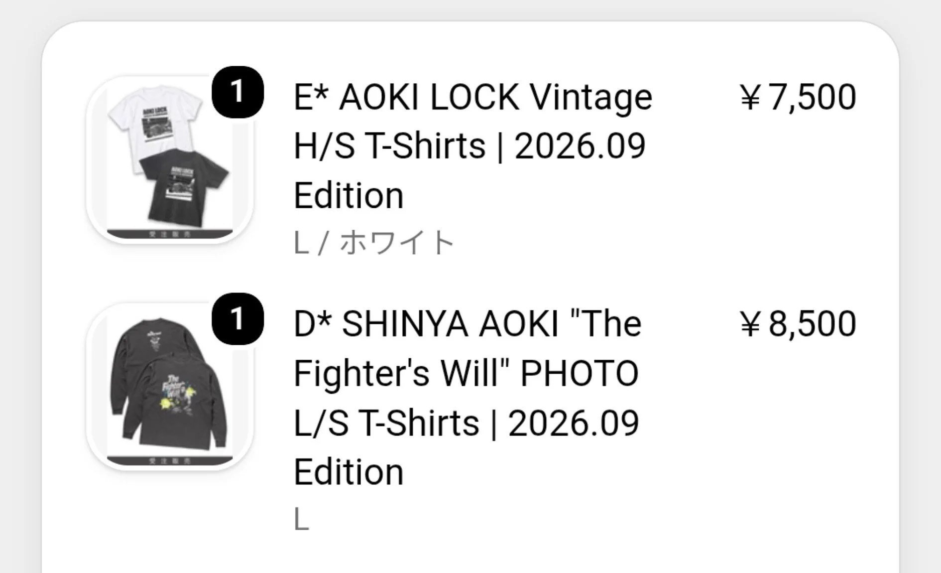 青木真也 Shinya Aoki on X: 