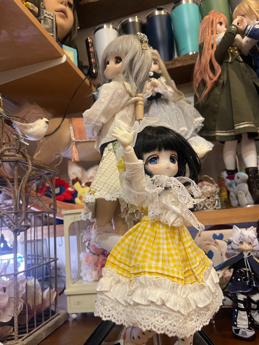 Giryusouju's tweet photo. #マリアミ
行ってた https://t.co/ypxPPD3uj3