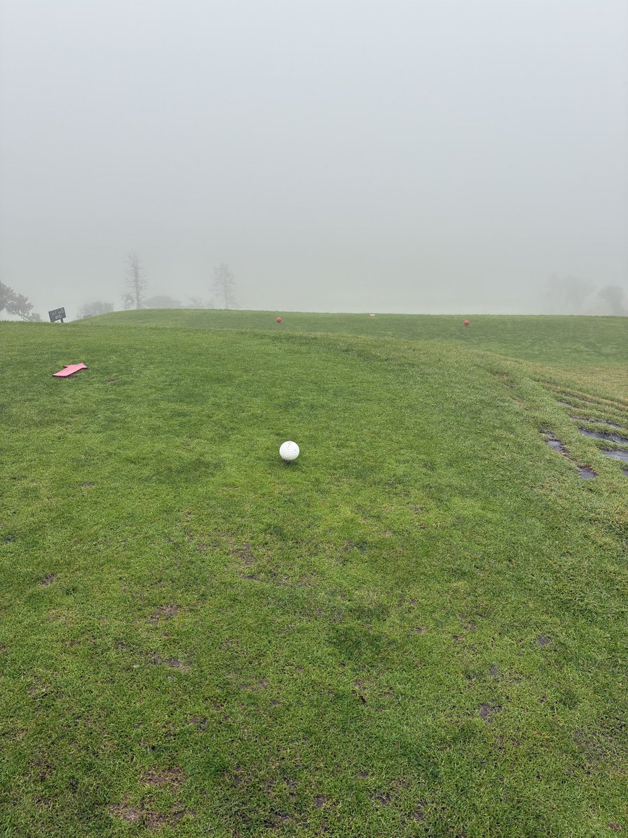 yu_42416's tweet photo. 連休最終日のゴルフ⛳️は最悪でした笑 https://t.co/xM3EghCZ01