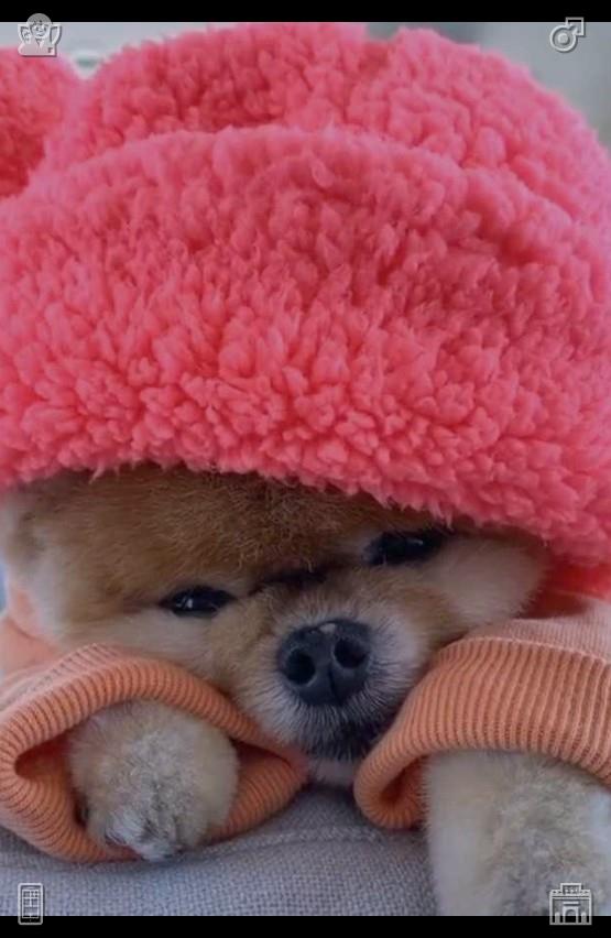 2d3Ck's tweet photo. When you feel unmotivated, commit to just five minutes of your target task, most times you will keep going once you start, and use this tiny commitment to beat procrastination every single day reliably.🪀Fruit salad Tasty, fruity https://t.co/1lZmIEiQFu
