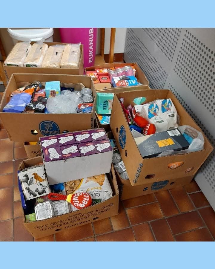 DierenvbUtrecht's tweet photo. Honden vriendjes en vriendinnetjes geknuffeld en lekkers gegeven, kwispelende staarten en blije koppies.
Dank aan alle gulle gevers
@StichtingMoHuKa
Inzamelpunten
@Natuurlijkdsz
@DierenDoktersU
Dierenkliniek #OoginAl
#Evi dierenartsen (locatie Oudenoord)
Dierenliefhebbers 🐾 https://t.co/8644BhDT9K