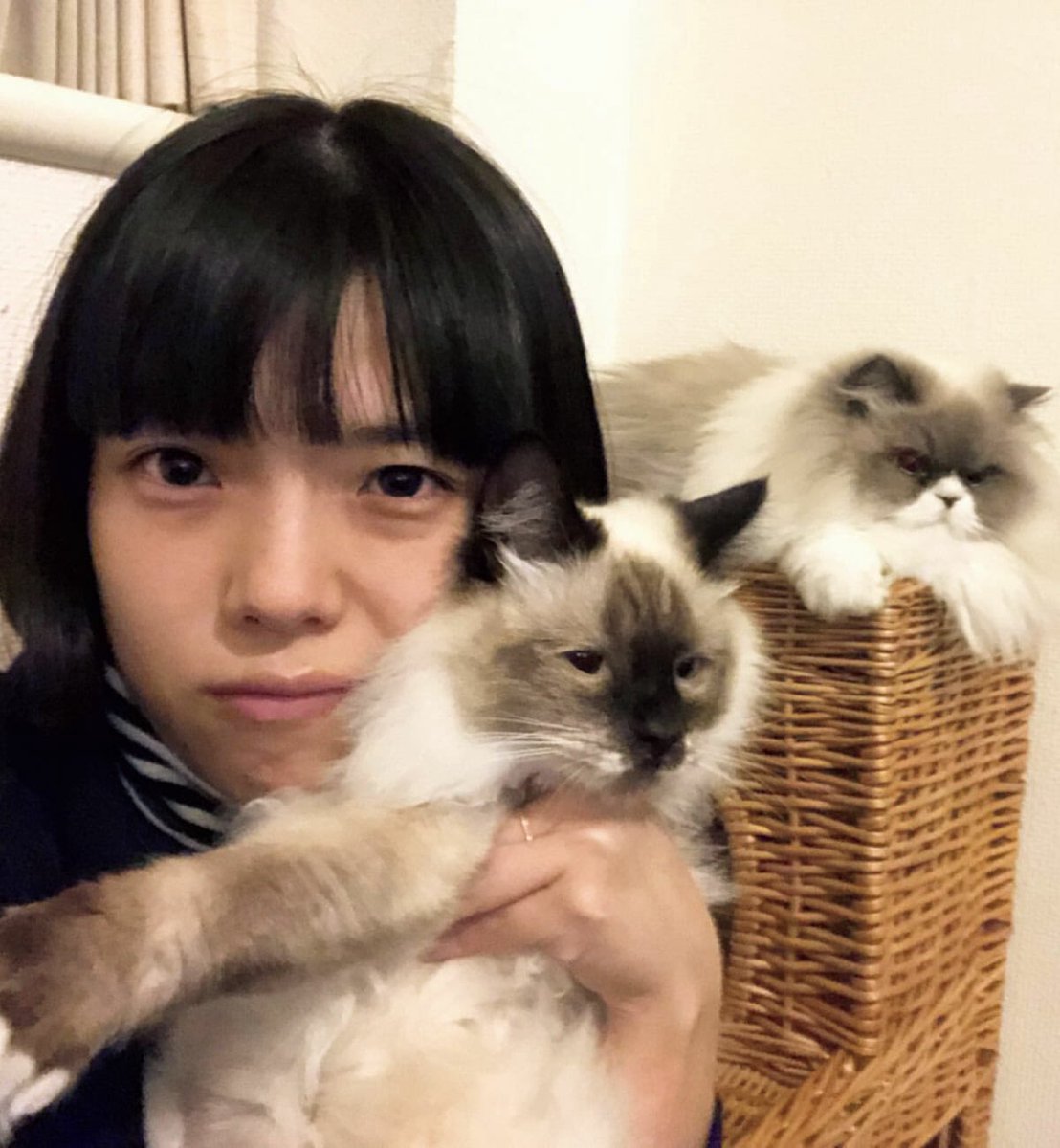 MLl6dp's tweet photo. 今日は働いてたんだけど
何かまた鮮明に一昨日の
カネコアヤノのライブ
思いだした。実は整理番号良くて彼女の真ん前で観た。何か何回か目が合って気まずかった。すいません。あの三人編成のライブはフルで映像化するべきだと思う。あんなイかれたライブないよ。彼女は確実にその後
伝説の人物になる。 https://t.co/n3Y5xL0SKr