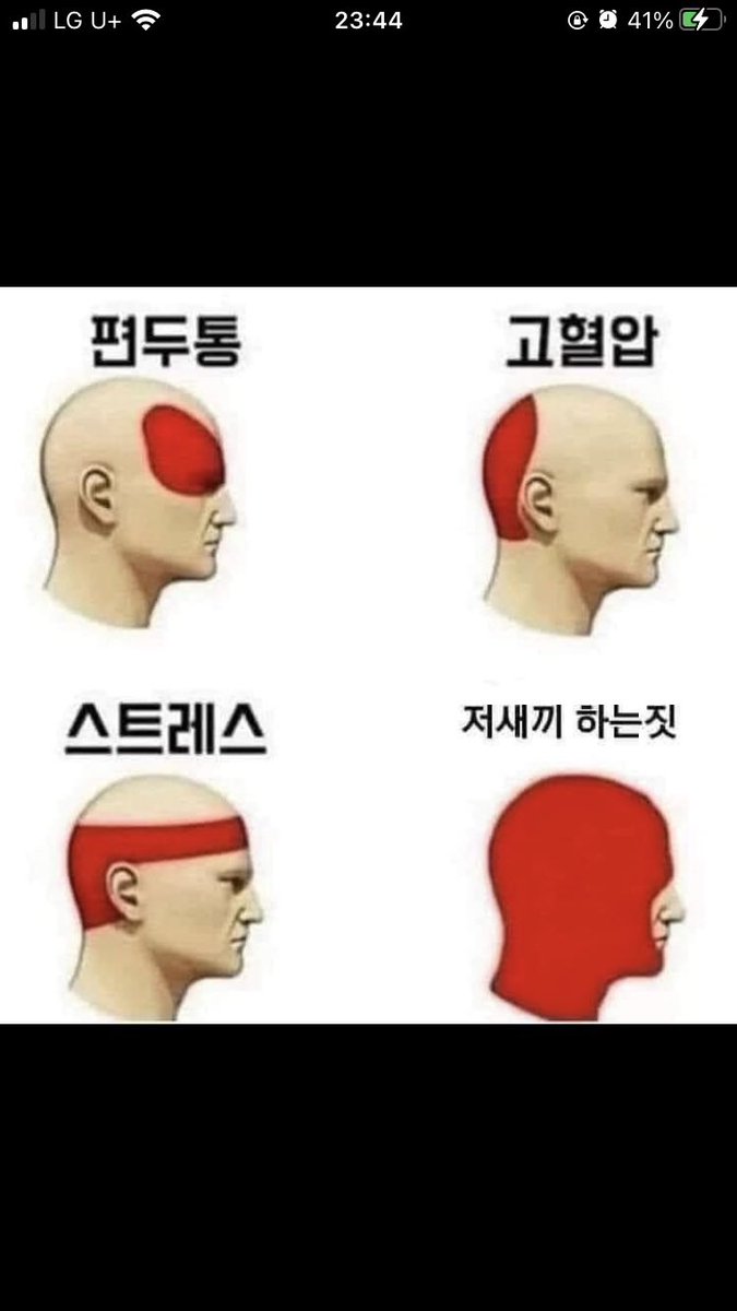 fallssl1's tweet photo. 개심심해요 #디엠 #서울 #부산 #연락 https://t.co/EwXHRVVqQC