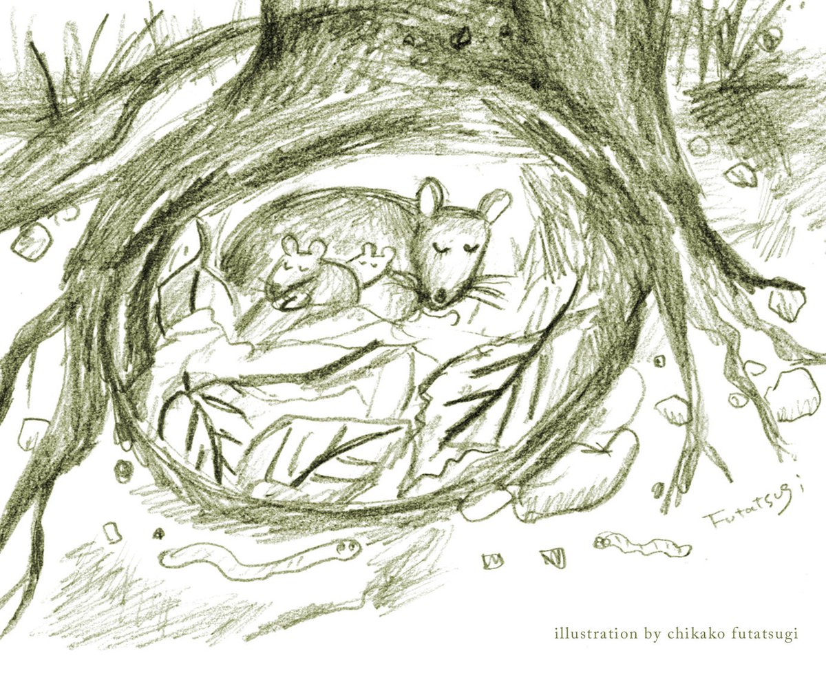Futatsugi3's tweet photo. 「寒くなってきたわね、、
あったかくおやすみしましょ。」

#野ネズミ #森 #イラスト https://t.co/ViQeEud34X