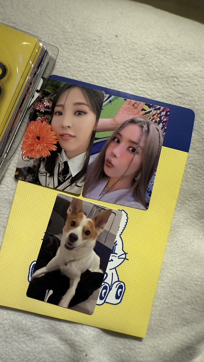 ainxsyaa_'s tweet photo. WTS MAMAMOO+ two rabbits album without poster
RM 50 
Like new
*MALAYSIAN BASED (preferred semenanjung) ONLY 
RTS: nk kumpul duit
Note: sticker dah guna satu🤣
#MAMAMOO #SOLAR #MOONBYUL 
@PasarMamamoo https://t.co/o6D4nPzTFg