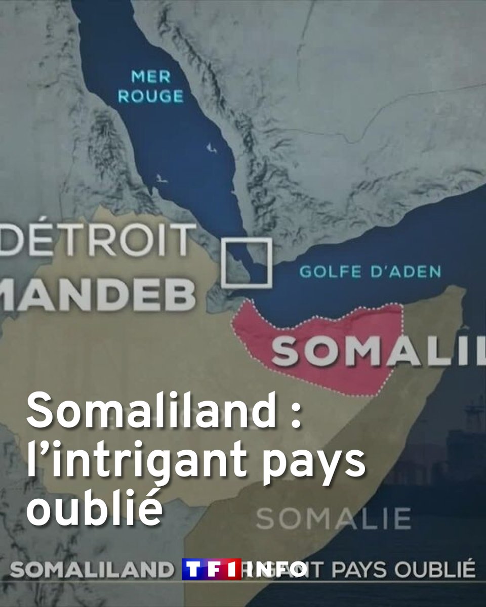 TF1Info's tweet photo. Somaliland : l’intrigant pays oublié
➡️ https://t.co/9VOZ91Gwzj https://t.co/4bYKRPev9P