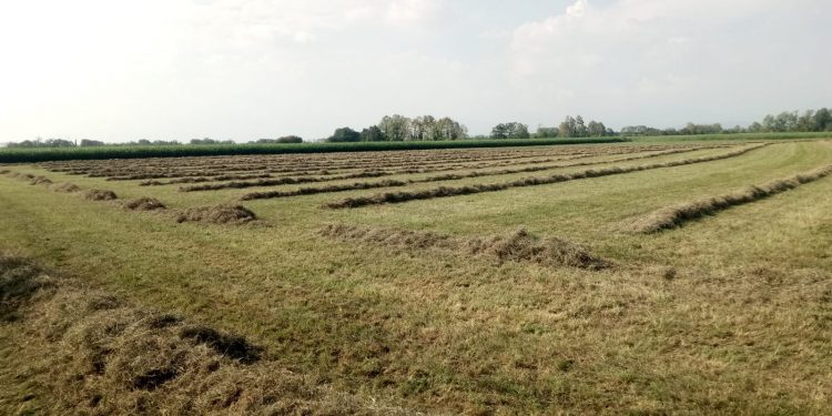 ConsLomb's tweet photo. Via libera all'unanimità in Commissione #AffariIstituzionali @ConsLomb al testo unico in materia di #agricoltura.  
Sarà un codice unico, chiaro, moderno e offrirà una consultazione più facile agli operatori del settore.   

Leggi #LombardiaQuotidiano 
https://t.co/V2RfcU2Vbx https://t.co/10Q7CgDXsv
