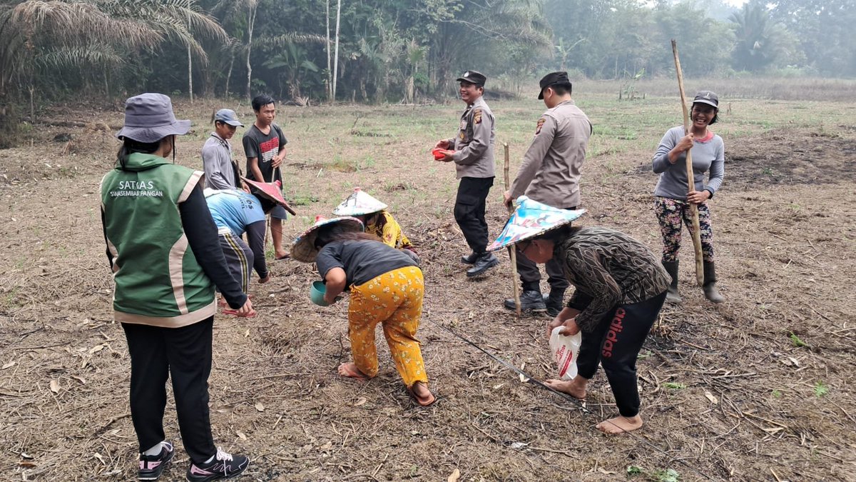 HumasNgabang's tweet photo. Meskipun sibuk penanganan karhutla Polisi tetap laksanakan Penanaman Jagung di Dusun Angan Bangka Desa Angan Tembawang Kecamatan Jelimpo Kabupaten Landak dalam rangka mendukun program swasebada pangan, " Rabu (23/9/2026) Luas lahan yang di tanam jagung sekitar 1 hektare. https://t.co/fyxII1Q9mw
