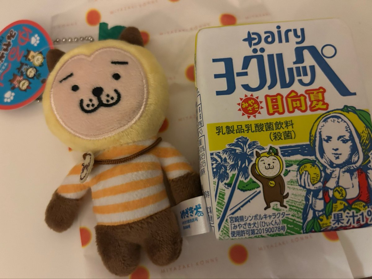 iburigakk's tweet photo. ひなたフェスでお迎えするはずだったみやざき犬を新宿みやざき館KONNEさんで悩んだ末ひぃをお迎えしました🍋‍🟩🍋‍🟩
お金があればひぃむぅかぁ全員おむかえしたかったよ〜 https://t.co/q3zYxlJiZp