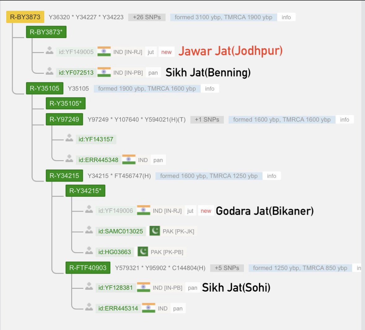 Jatgenome_edu's tweet photo. WGS kit DNA results of a Marwari Jat of "Jawar" clan from Jodhpur, Rajasthan. Mother is Khilan from Jodhpur.

Y-Full haplogroup is R1a-(BY3873), Indo Aryan clade. Mtdna is D4i(East Eurasian).

CA_Farmer : 36.90%
Steppe_MLBA : 43.30%
AASI : 19.80% https://t.co/mJh6u6wC69