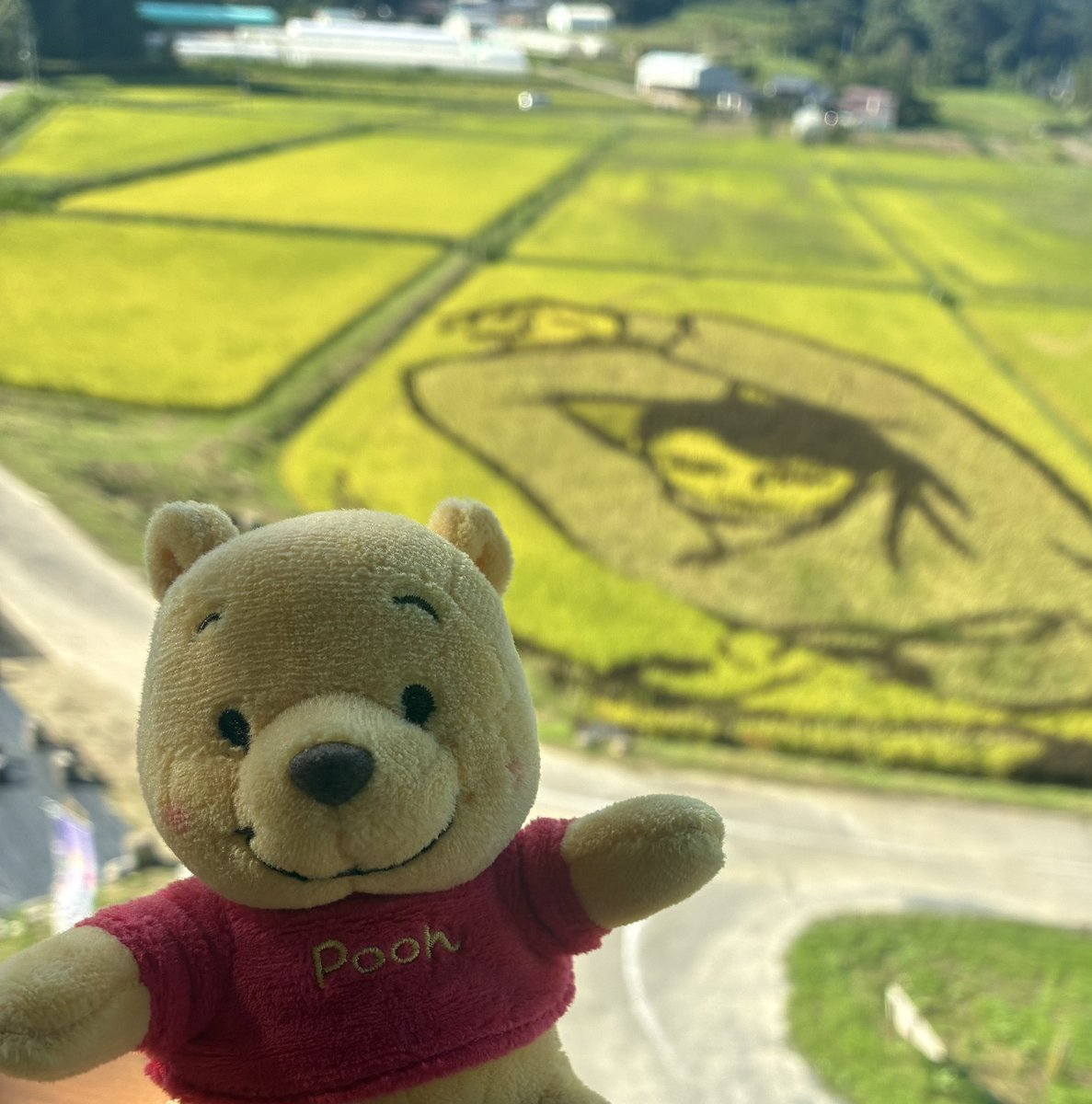 kenaoi121's tweet photo. #ただいま仙台
 #羽生結弦

9月22日23日、1泊2日の仙台旅行🚗
仙台は相変わらず素敵な街でした🥹✨️

22日
 #西根田んぼアート
2023年以来の田んぼアート🌾
大好きなバラ1様✨️
お天気もよくてバラ1様が輝いていました✨️✨️
もうすぐ終わってしまうそうなので、来ることができてよかったです🥹 https://t.co/NAPW9qCkCX