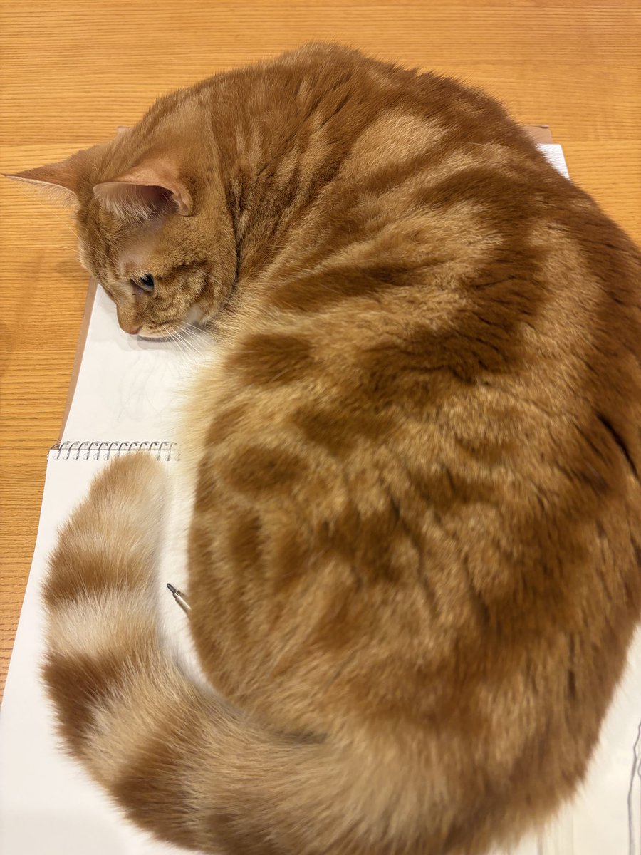 linen_mi's tweet photo. はみ出んなwwwwww https://t.co/MBXoAYWMyE