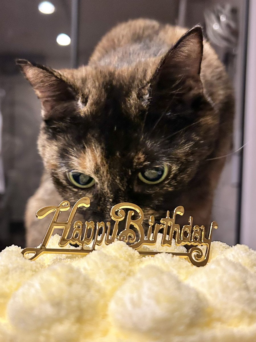 P_caroto's tweet photo. こっそりHappyBirthday
ちょっと舐めた https://t.co/nzZkDBQsne