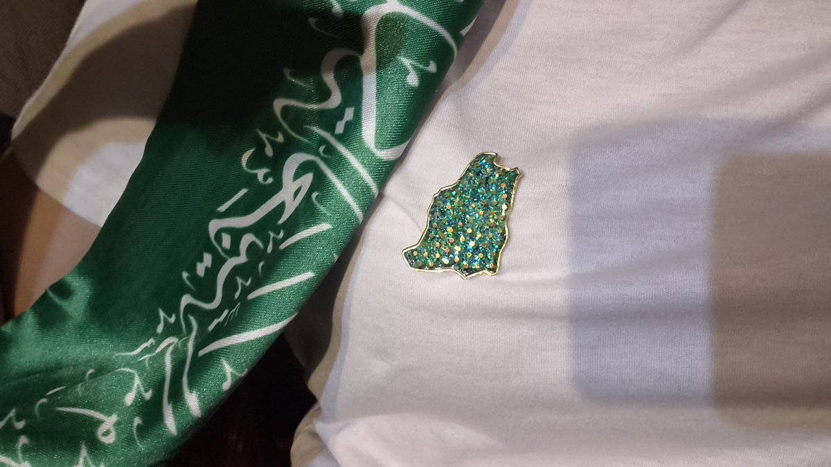 FluffyMye0N's tweet photo. #اليوم_الوطني_السعودي_٩٦ https://t.co/LmDk0tyUUU