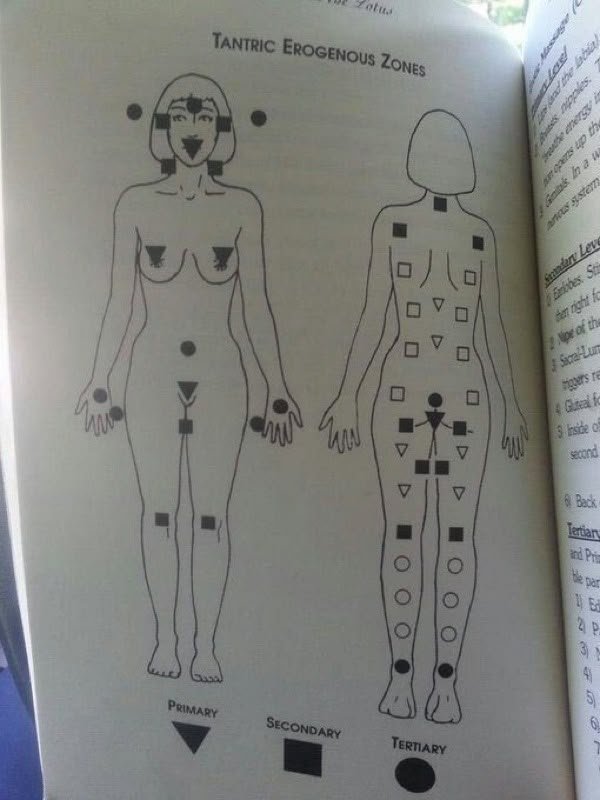 HombreEstratega's tweet photo. 7 zonas femeninas que muchos hombres ignoran por completo:

Y pueden marcar una gran diferencia en la intimidad.

1. Cuello y clavícula. https://t.co/9w4doGh0KX