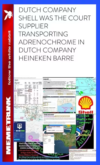 PhilomenaGrady's tweet photo. Dutch company Shell caught transporting Adrenochrone in Heineken kegs

Dark to Light. 

Justice for our children

Never forget why we started. 
It always was, and still is about the children.

💞🌹🕊🌍💫 https://t.co/seQNtLsbsn