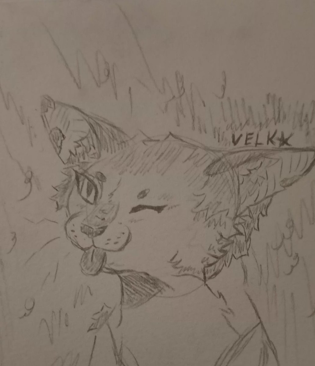 Velkrryn's tweet photo. Bleh I did yesterday https://t.co/LyjSGSN7qv