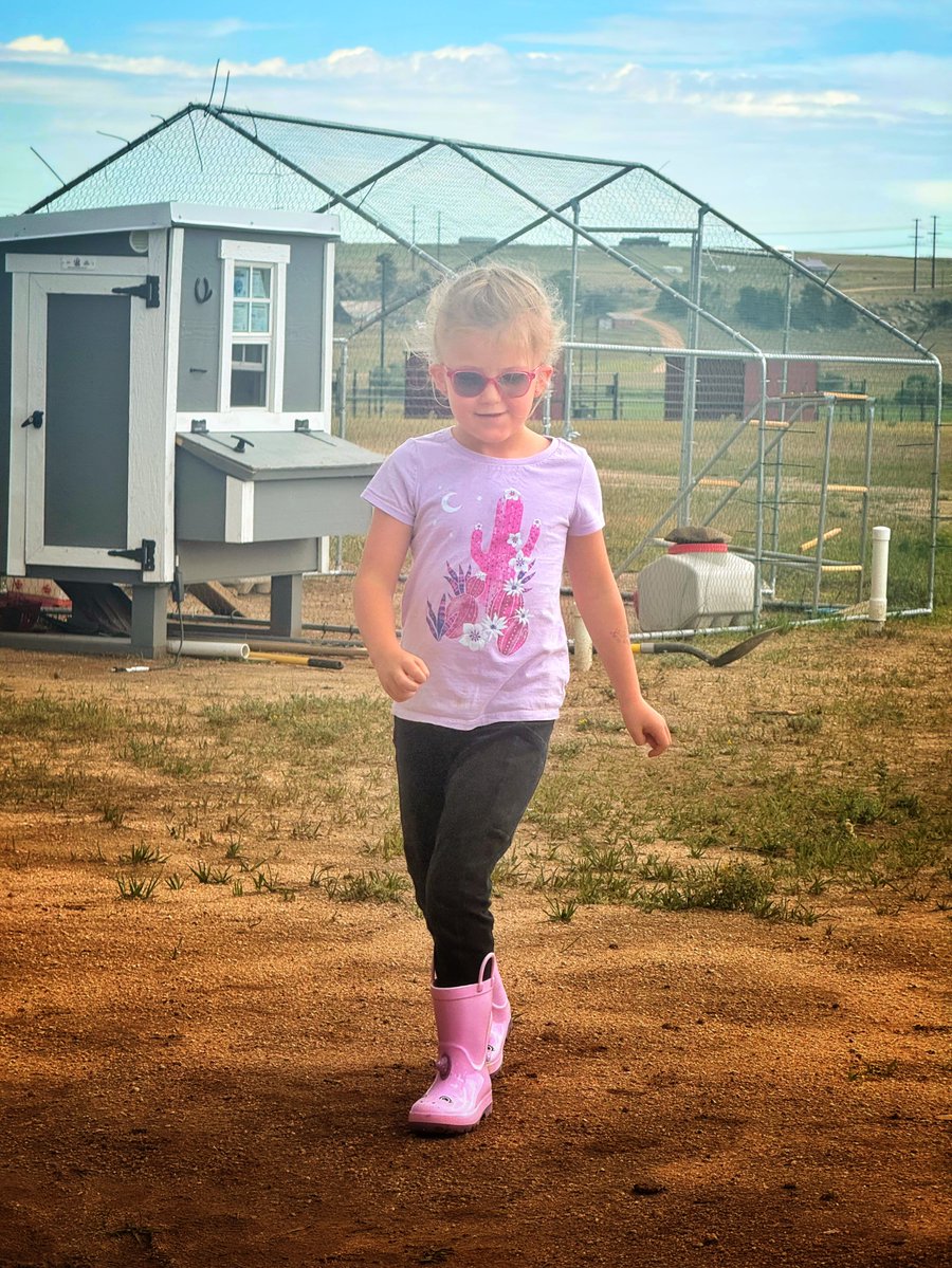 BorisFranzese's tweet photo. Yesterday at Hope’s riding lesson, a large front moved in. The photos made it look as though part of the screen hadn’t loaded: a giant, blurry wall of rain, plus a curious chicken and a cowgirl. Day 227 of 365 https://t.co/0iBVfdDQwF