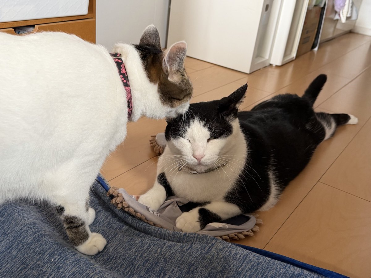 Chiko91680930's tweet photo. 明日からまた仕事かあ😔 https://t.co/BD8vcJDIZl