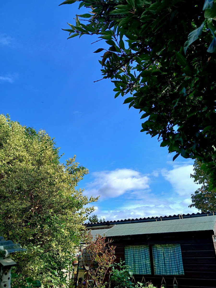 clairywairy88's tweet photo. So, a day at home for me today and what a beautiful afternoon it is too.. Hardly a cloud in the sky..x π
#HaveYouEverHadItBlue
#TheStyleCouncil
WATCH β‘οΈ π΅πΆ
https://t.co/MrfiE5IDXr
#WellerWednesday #FirstDayOfAutumn π
#SeptemberSunshine
#SunnyGloucestershire βοΈ https://t.co/3IWcZfnkR3