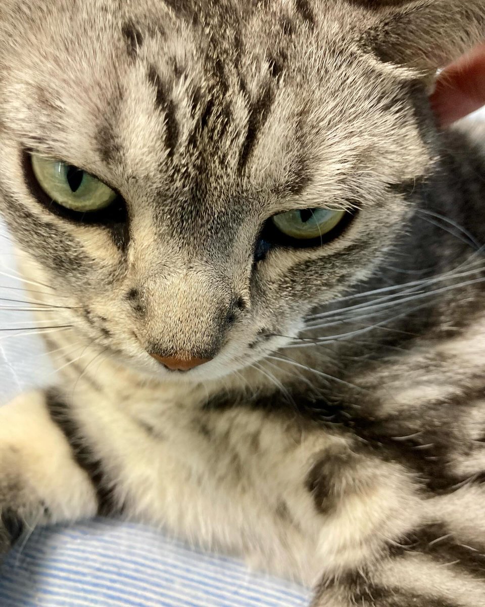 SimaNicholw1ps's tweet photo. I can’t find the motivation. Min-chan’s healing me every day! https://t.co/W8uO4TkaKQ