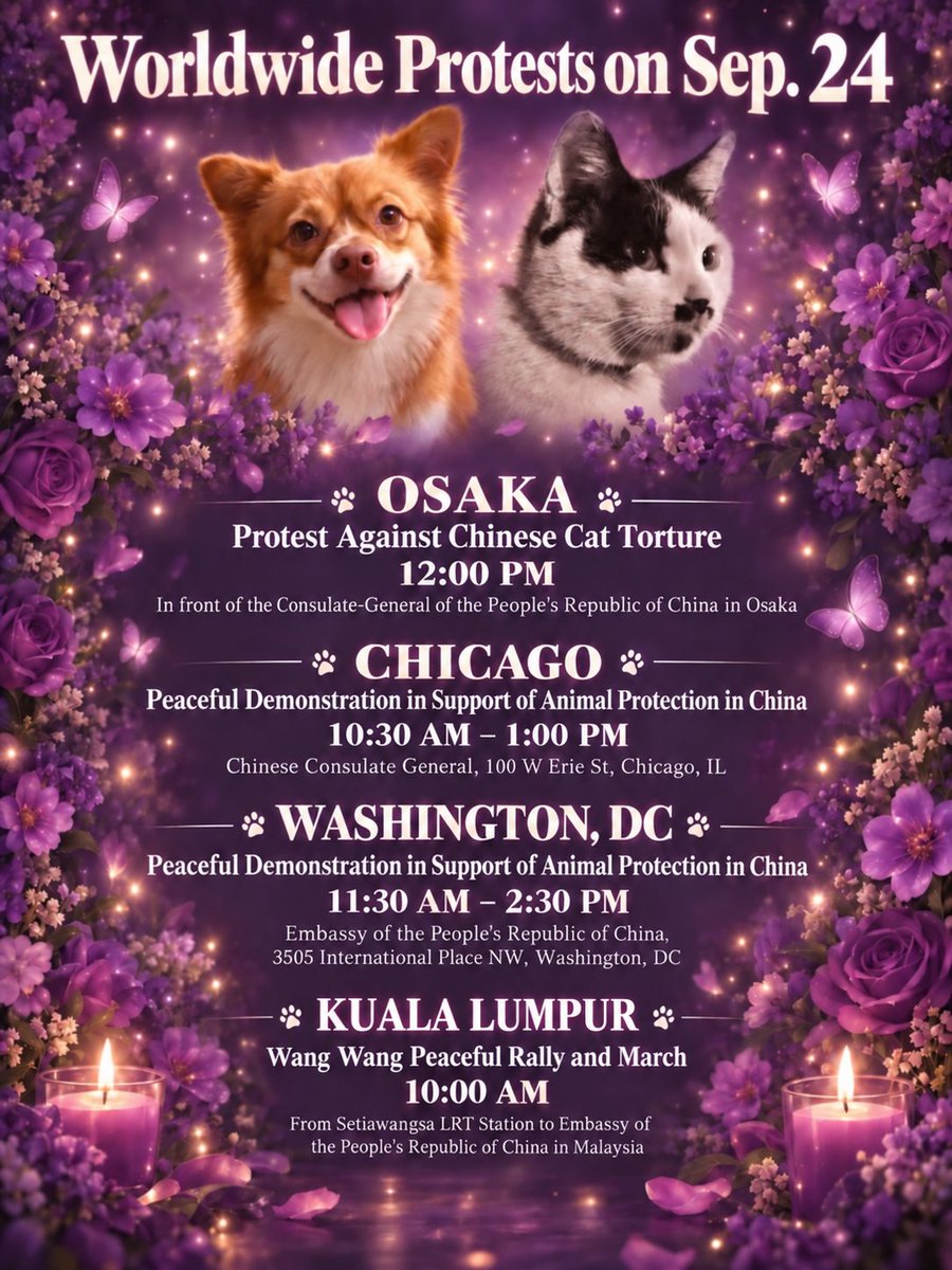 hollyding520's tweet photo. The Trump-Xi summit on September 24 will draw global attention. I hope these protests will bring much-needed attention to animal suffering in China, a country that still lacks national anti-cruelty laws
#JusticeforWangWang
#trumpxisummit
#foxnews
#cnn
#stopanimalcruelty https://t.co/SzcGI4NmsR