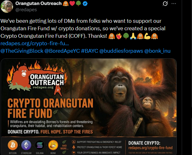 beyourloverboy's tweet photo. @redapes
 Want funding through crypto donations? - 
@redapes
 is Orangutan Outreach 

They just posted that they want and accept crypto donations

Is this not a god donation narrative?

9a5HGoi8yWZnNJyVEu1aBTzdmdgKvKPrFziFMoPjJGBB https://t.co/75ItIhlIao