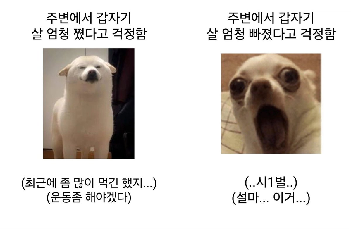 WkfxjfrP's tweet photo. 주변에서 갑자기 살 엄청 쪘다고 하는 것보다 무서운 것 https://t.co/E7KCjYunwr