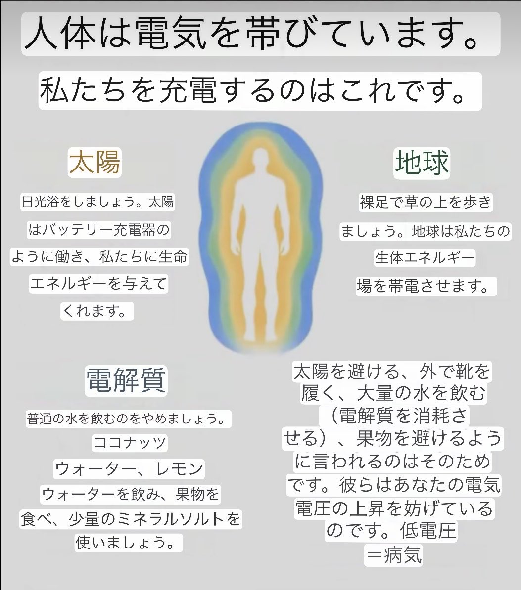 macaronmacaro15's tweet photo. ⚡体の電気とは👇😋✨

🧠神経→電気信号で情報を伝える
❤️心臓→電気信号で拍動を調整
💪筋肉→電気信号で動く
💧電解質→この働きを支える
☀️日光→ビタミンDや体内時計をサポート
🦶裸足歩き→気分転換にも◎ https://t.co/xGvyaK0kPJ