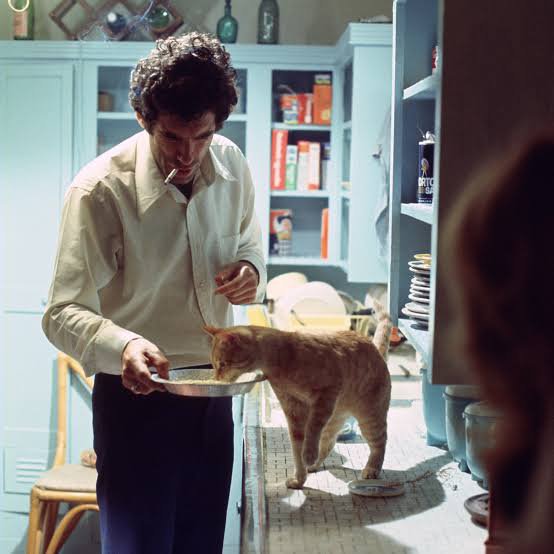 _ddoor_knobb_'s tweet photo. What's happening chaps?
Well for myself, I just watched the genre deconstruction, noir film. "The Long Goodbye" starring Elliot Gould in a phenomenal performance as Philip Marlowe.

Click the link for my full review on Letterboxd! 

https://t.co/EGlFm3EMNc

#MovieReview #filmtw https://t.co/rdiYm3RluE