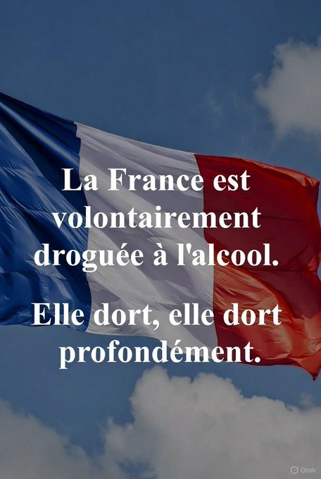 Hox1978590's tweet photo. @vizio333 @mzaouni168218 @yt_LaMinuteInfo MILDECA« on appelle drogue toute substance psychotrope ou psychoactive qui perturbe le fonctionnement du système nerveux central » L’alcool fait clairement partie des drogues. La réponse est oui. MILDECA reconnait que l’alcool a tous les attributs d’une drogue. https://t.co/veAZUGIyXf