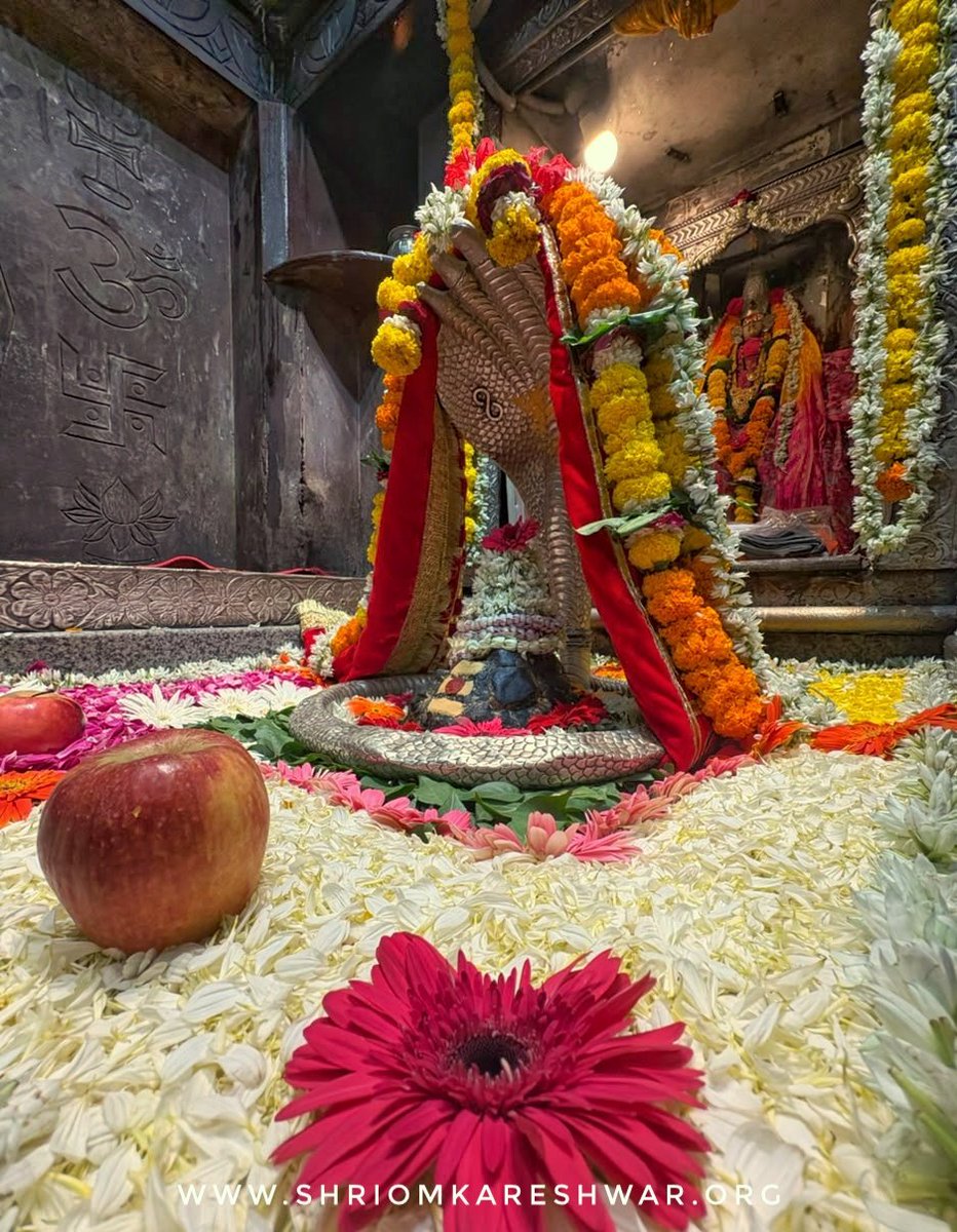 OmkarJyotirling's tweet photo. 🚩जय ओंकार जी🚩
द्वादश ज्योतिर्लिंग में चतुर्थ, श्री ओंकारेश्वर में ओंकार महाराज के श्रृंगार दर्शन।
भाद्रपद शुक्ल पक्ष त्रयोदशी स. 2082 बुधवार  दिनांक- 23/09/26
वेब-https://t.co/cOFsHLEZaw
हेल्प-8989998686(8AM-8PM)
#omkareshwar #ओम्कारेश्वर https://t.co/zcyL664NVN