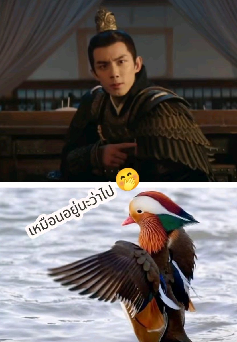 ploypuanggg's tweet photo. Wulei ดาราจีนที่อายุ 23 ปีแต่ประสบการณ์ทำงาน 20 ปีเพราะเล่นโฆษณาตั้งแต่ 3 ขวบแล้วก็เดบิ้วเป็นนาจา เอี้ยก้วยมังกรหยก จนตำนวนแม่มัพหลิงปู้อี๋เกราะปีกไก่นกยวนยาง 🤣 https://t.co/KJblvPfwwZ