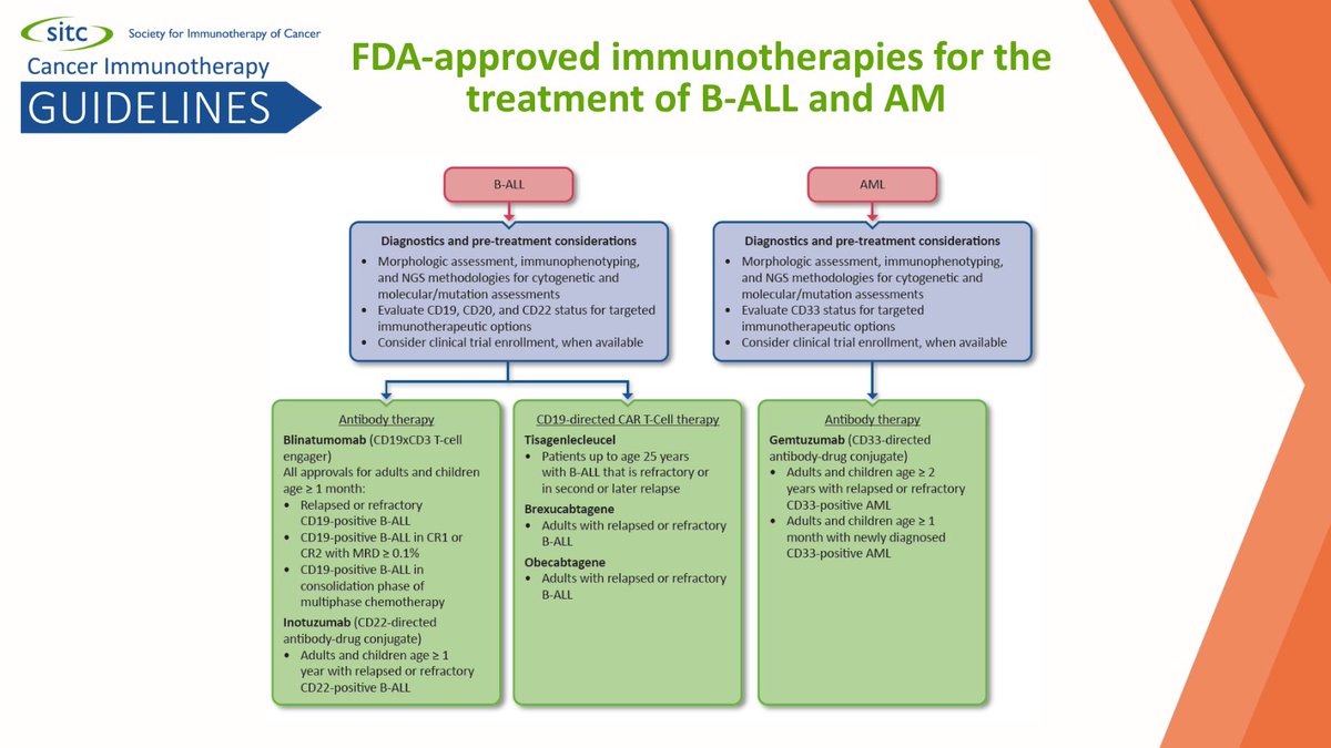 sitcancer's tweet photo. Now available in @JITC: the updated @sitcancer acute leukemia CPG. Developed by a multidisciplinary panel of experts, this updated guideline offers evidence-based recommendations to help inform immunotherapy treatment decisions for acute leukemia. https://t.co/o9bvEiqkRs https://t.co/khCSSTQ6E9