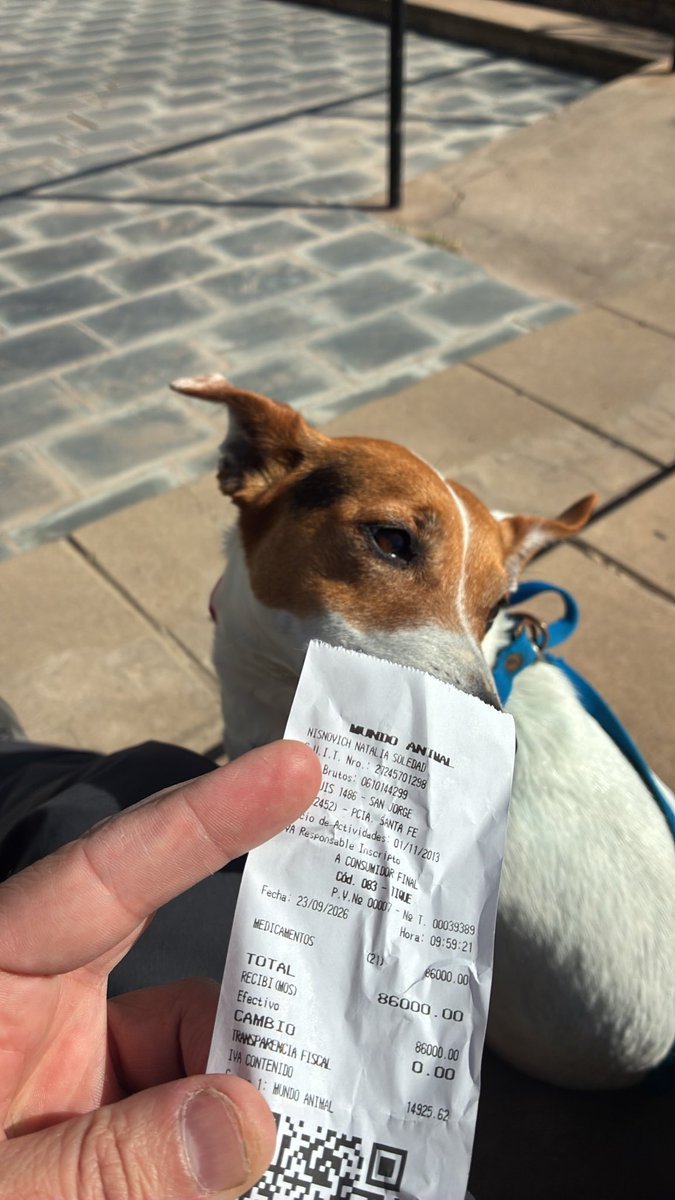 Arymocba's tweet photo. 23/9 9:59hs @YPFServiclub  en san Jorge, Santa Fe.
ME NIEGANentrar a tomar un café, ni puedo tomar un café afuera (xq NO tenían mesa afuera) xq estaba con mi mascota (c/correa y collar) pero ante mi insistencia de pedir una mesa afuera me negaron la permanencia.
CORREGIR URGENTE https://t.co/cQYoaCW5uv