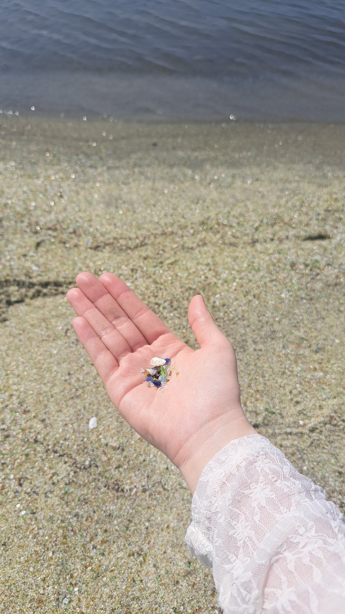 pfpfnyanko's tweet photo. 海行ってきた！
ガラス片と貝殻の砂浜綺麗やった🫧✨ https://t.co/CYYkr8K7sb