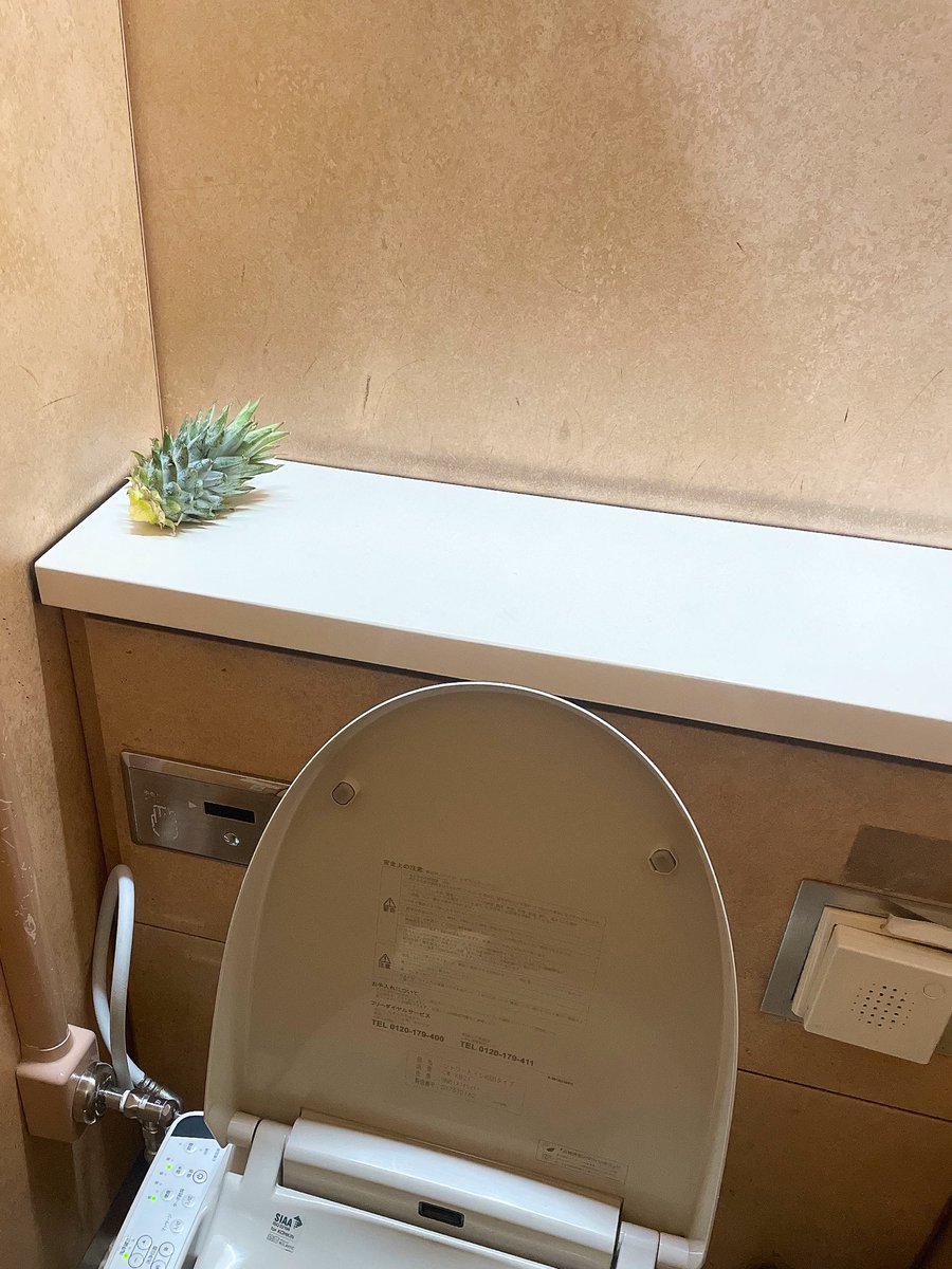 saaakyuuu's tweet photo. トイレ入って困惑🍍🍍🍍🍍🍍🍍 https://t.co/SugqDG5N6I