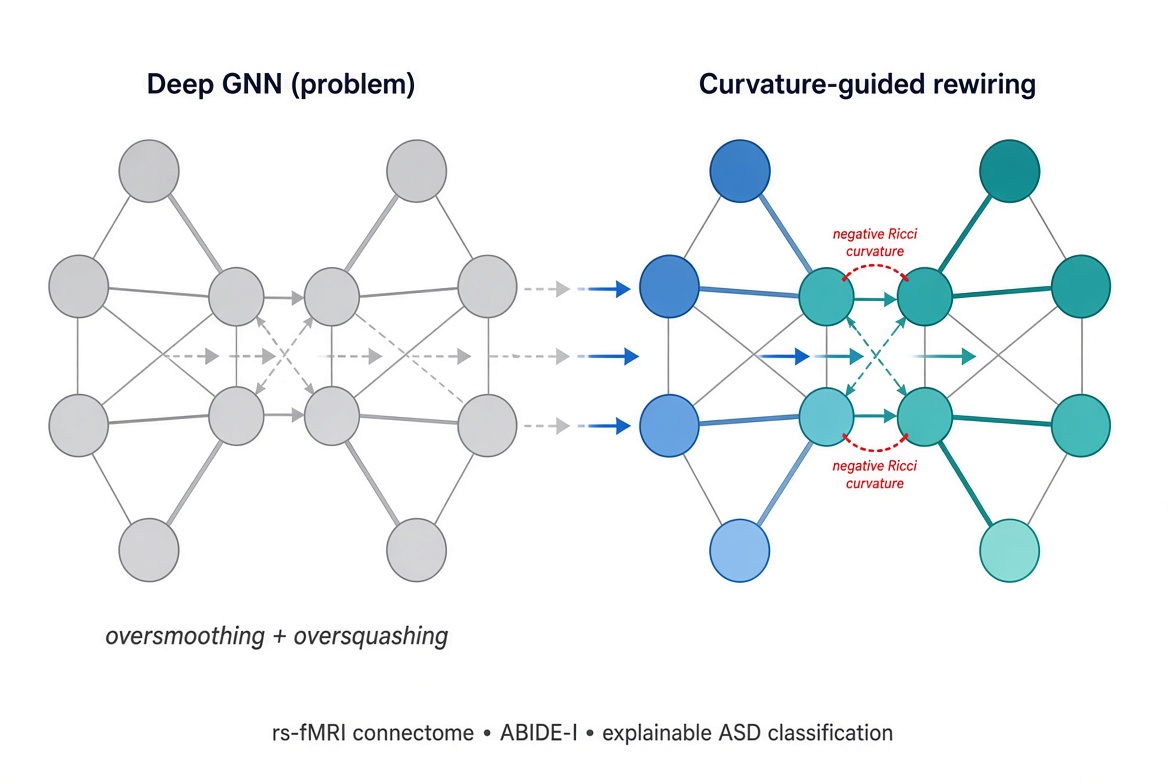 ResearcherMT's tweet photo. Deep GNNs go blind on brain networks.Stack enough layers and two things happen:
1. every region starts looking the same (oversmoothing)
2. distant signals get crushed in narrow bottlenecks (oversquashing)Geometry tells you where. 

Negative Ricci curvature marks the edges that are “stretched thin.”I’m testing curvature-guided rewiring on real rs-fMRI connectomes (ABIDE-I) for autism classification and whether the model can show a clinician why it decided what it did.Accuracy alone is not enough in medicine.Anyone working on GNNs + neuroimaging: what broke first when you went deeper? 👇#GNN #GeometricDeepLearning #XAI #AcademicTwitter