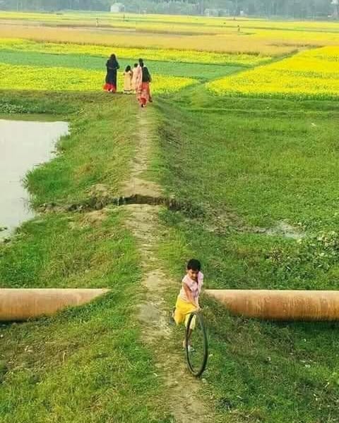 GenevaKoback's tweet photo. Racing along dirt paths on wheels made from old tires, through endless rows of yellow mustard fields and the simple life of the countryside... Hidden in these rural scenes are our sweetest childhood memories. https://t.co/aHy347PXQQ